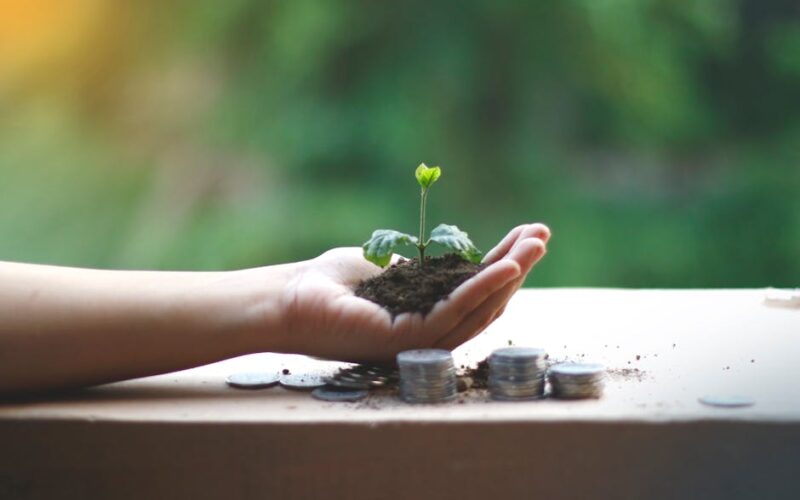 Life cycle investing: ajuste o risco na sua jornada financeira