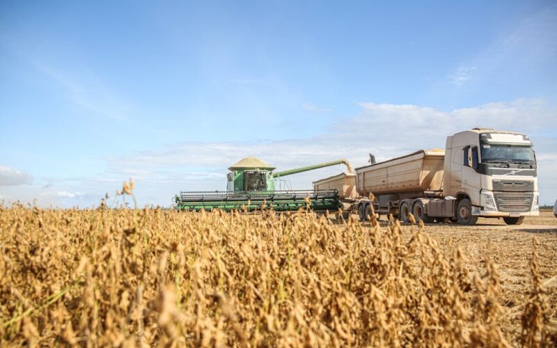 Diversificação Global: Portfólio Estratégico em Emergentes