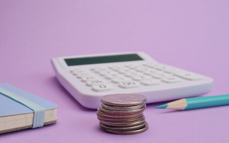 EVA Economic Value Added: cálculo e impacto no valor da empresa