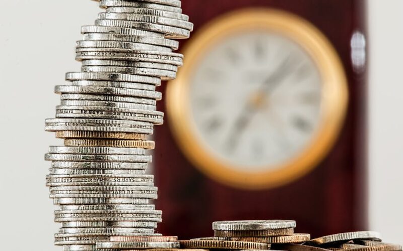 Wealth Management: Otimização Fiscal e Proteção Patrimonial