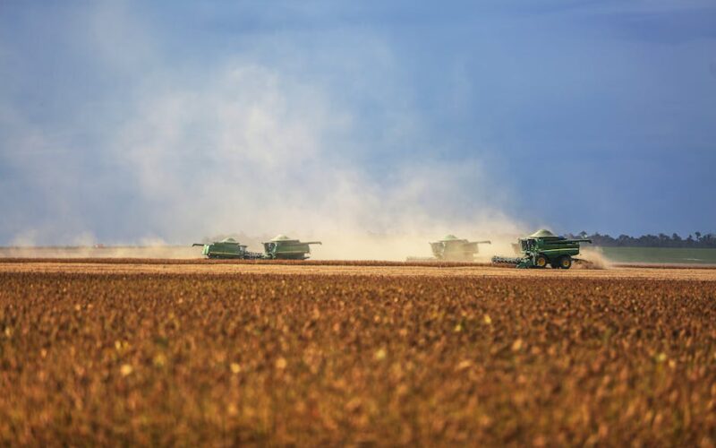 Inflação e Investimentos: Estratégias Essenciais de Proteção de Ativos